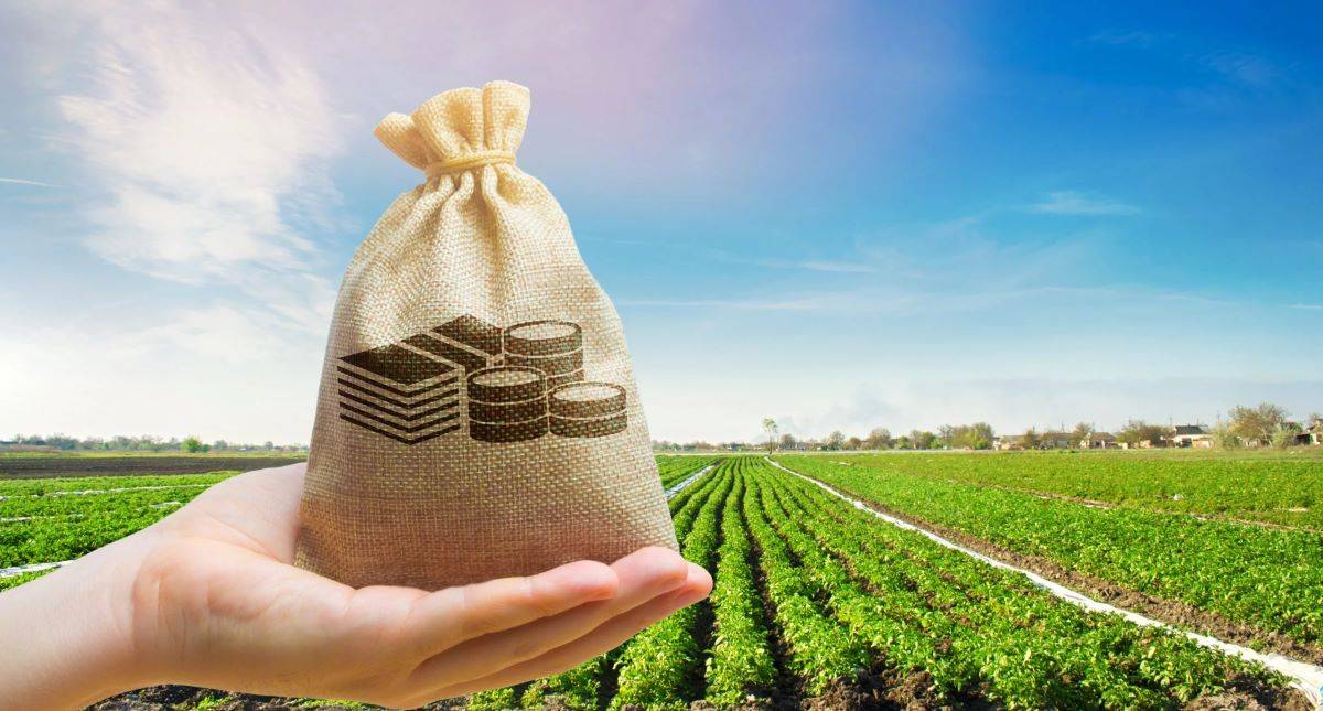 Agriculture Finance