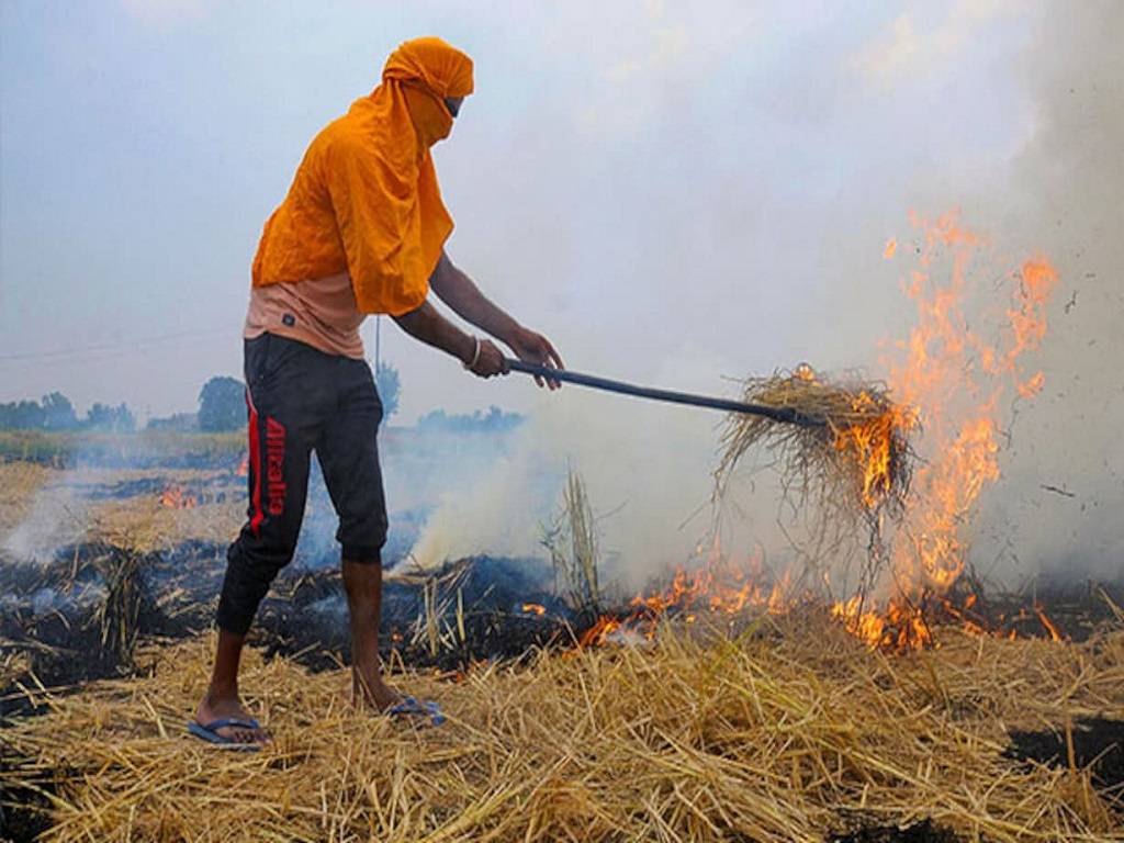 Farmers manage stubble across a 37 lakh acre area using machinery for crop residue management or other methods.