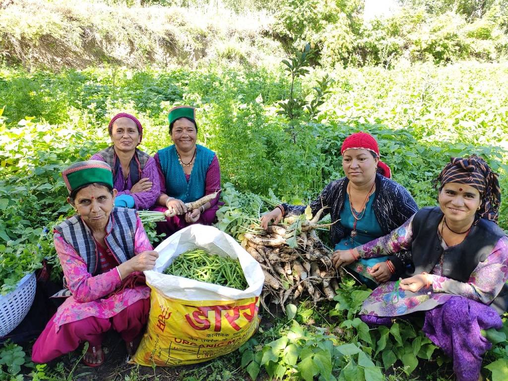 The productivity and fertility of the fields have increased due to natural farming, and the farmers’ income has also increased.