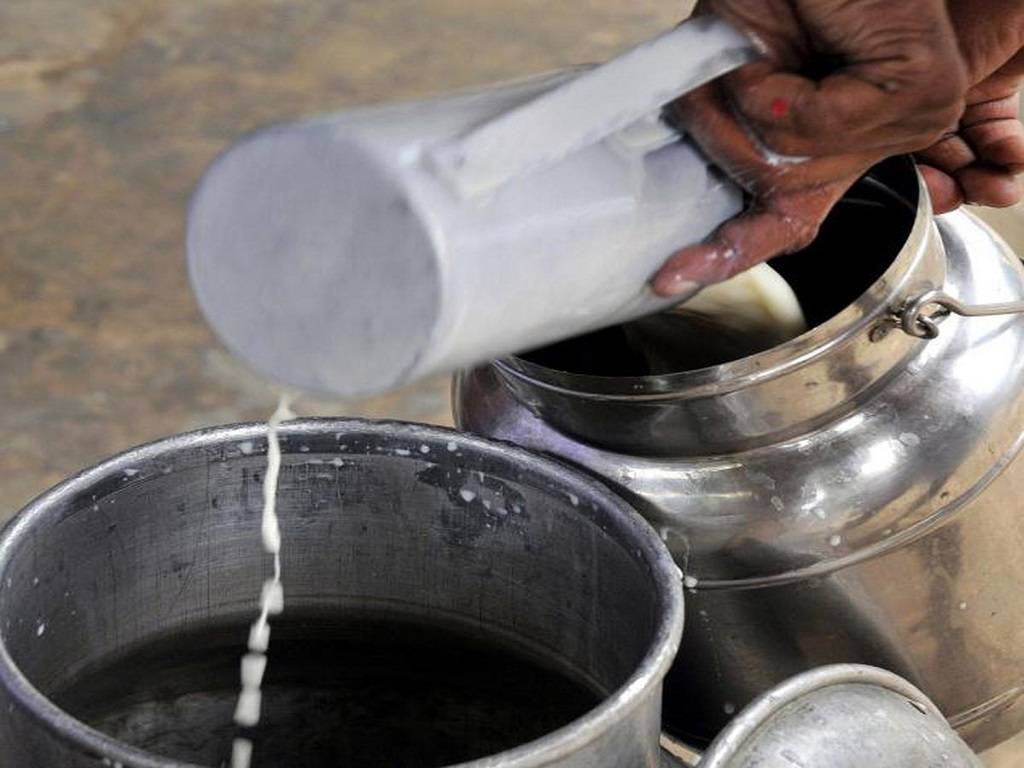 The adulterated milk bottles, unclean used milk packets, adulterated milk packets, and candles that were used to seal the adulterated milk packets were all confiscated by the police on Thursday.