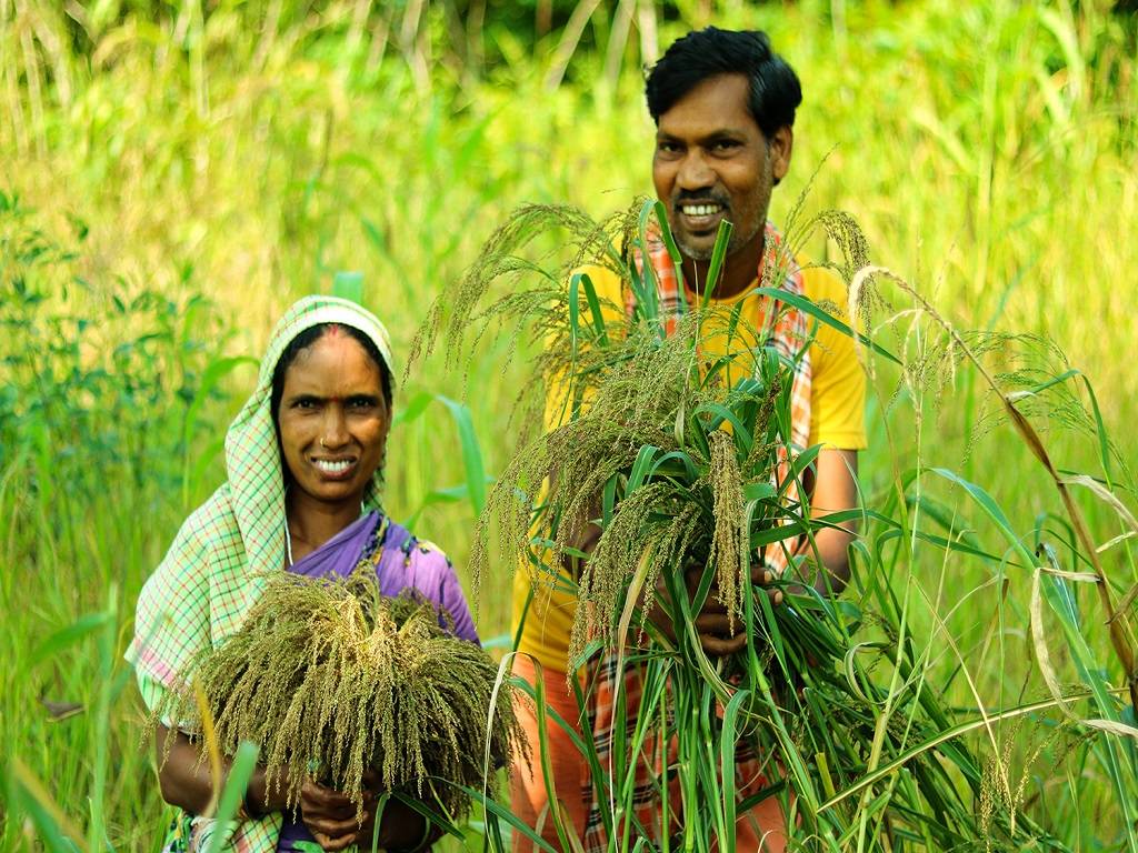 The chief minister of Gujarat also studied the natural farming concept and the crops and vegetables grown by adopting this method.