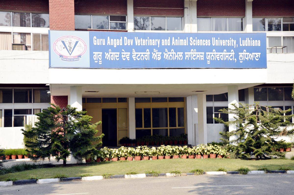 Guru Angad Dev Veterinary and Animal Sciences University