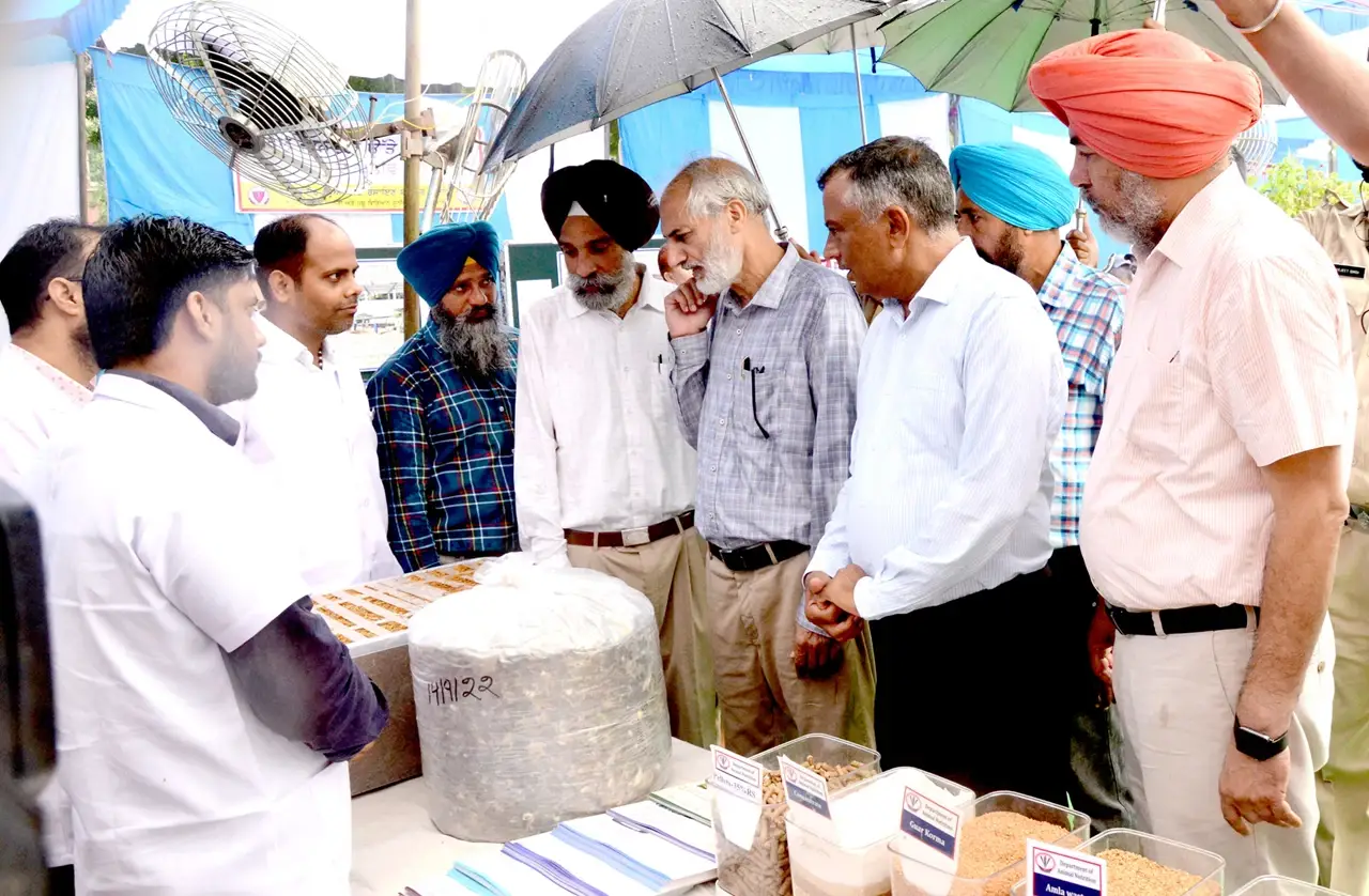The department of Animal Nutrition has developed several nutritional technologies for the dairy animals of the state, which were displayed in the Mela.