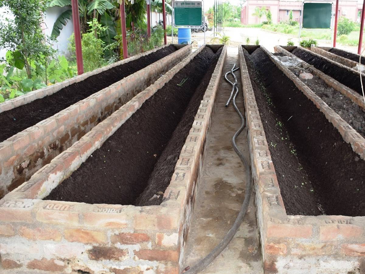 Vermicompost is an organic fertilizer rich in many nutrients necessary for the soil.