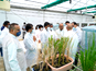 Corteva to Launch Cutting-edge Technology in Seed Treatment: Dr. Prasanta Patra