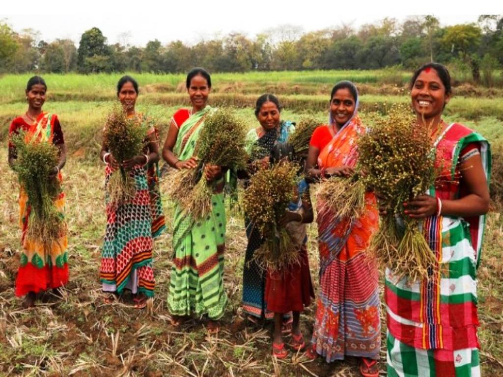 Jharkhand farmers