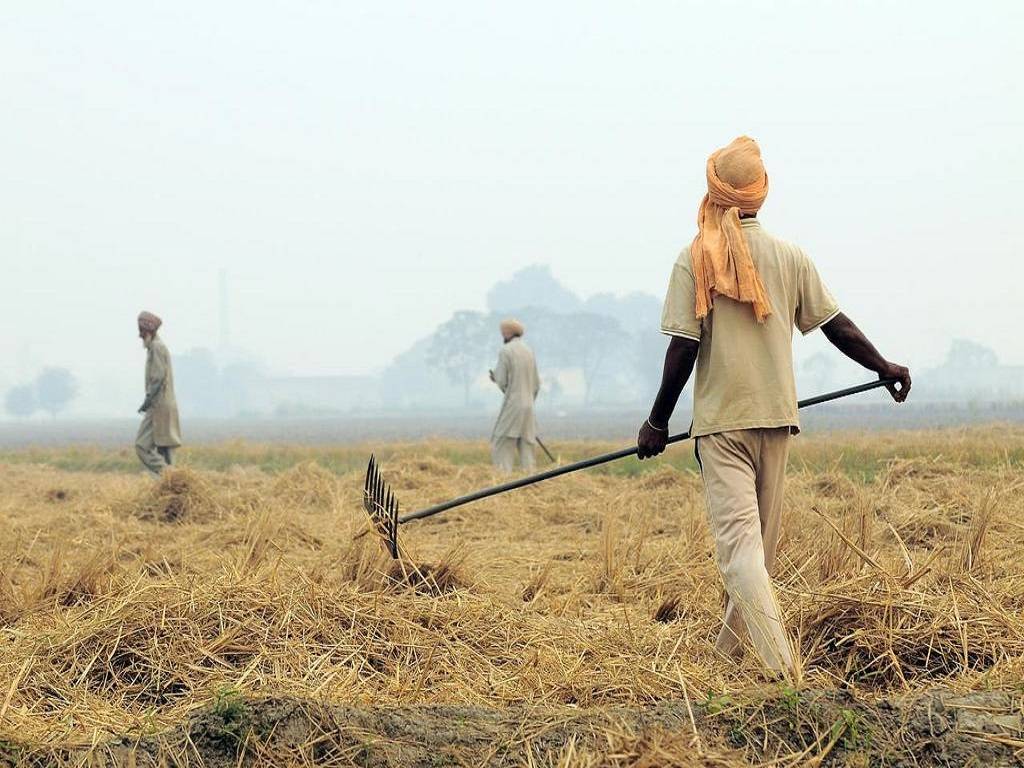 The government intends to use MGNREGA workers to help farmers in managing crop residue.