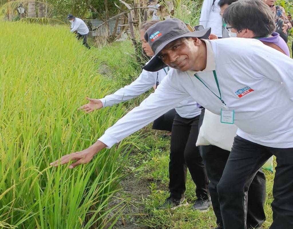 From eminent speakers sharing their thoughts on Plant Breeding and Biotechnology Division to participants getting the opportunity to visit the golden rice field, the 3rd day of the program ended with a huge success.