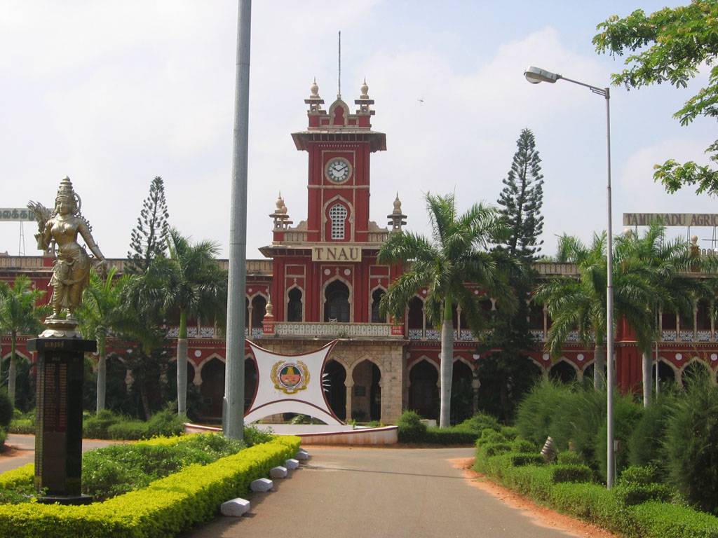 TNAU Recruitment 2022: Tamil Nadu Agricultural University is Inviting  Applications for Various Posts; No Exam