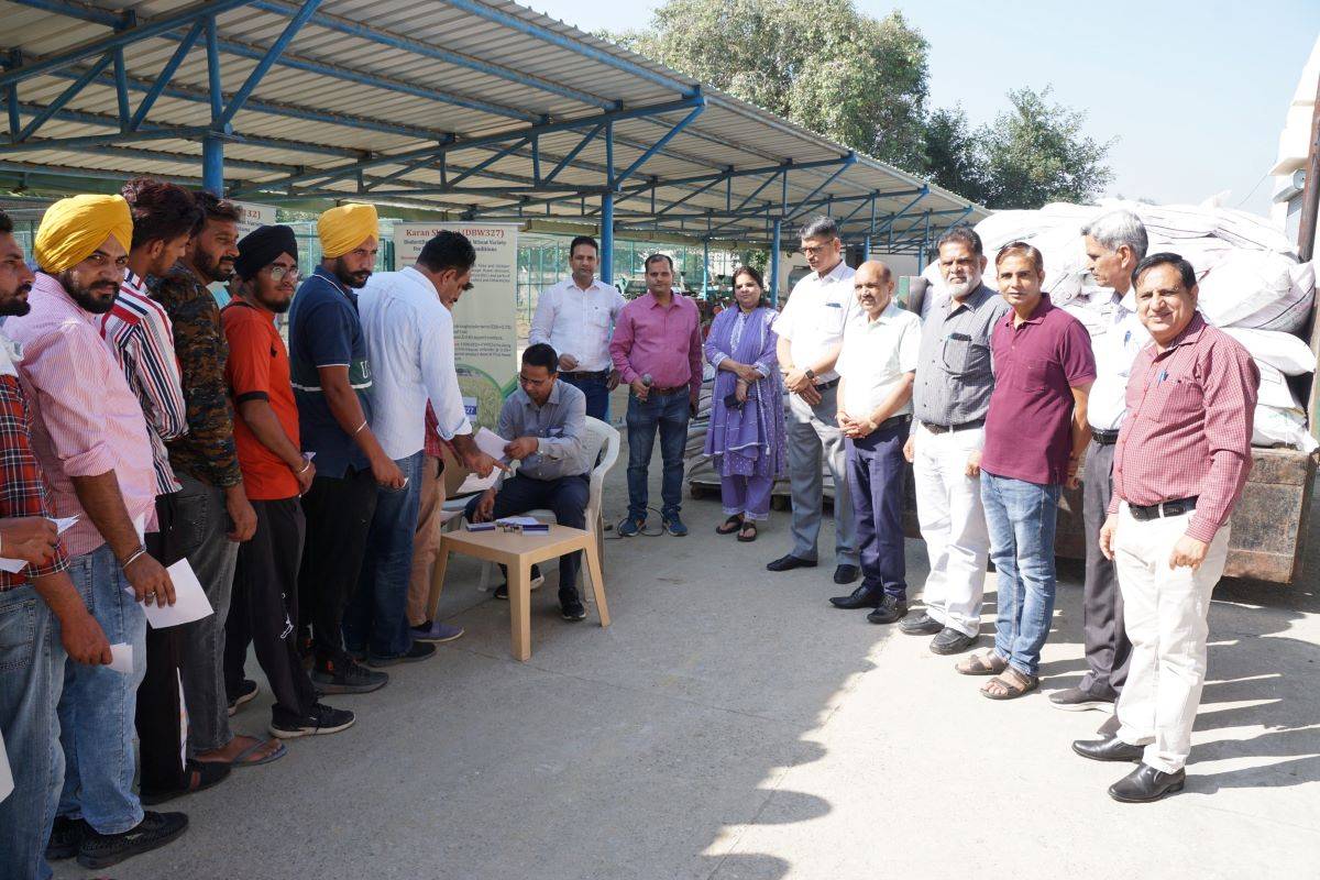 Seed Distribution to farmers of Punjab at Karnal Wheat Institute