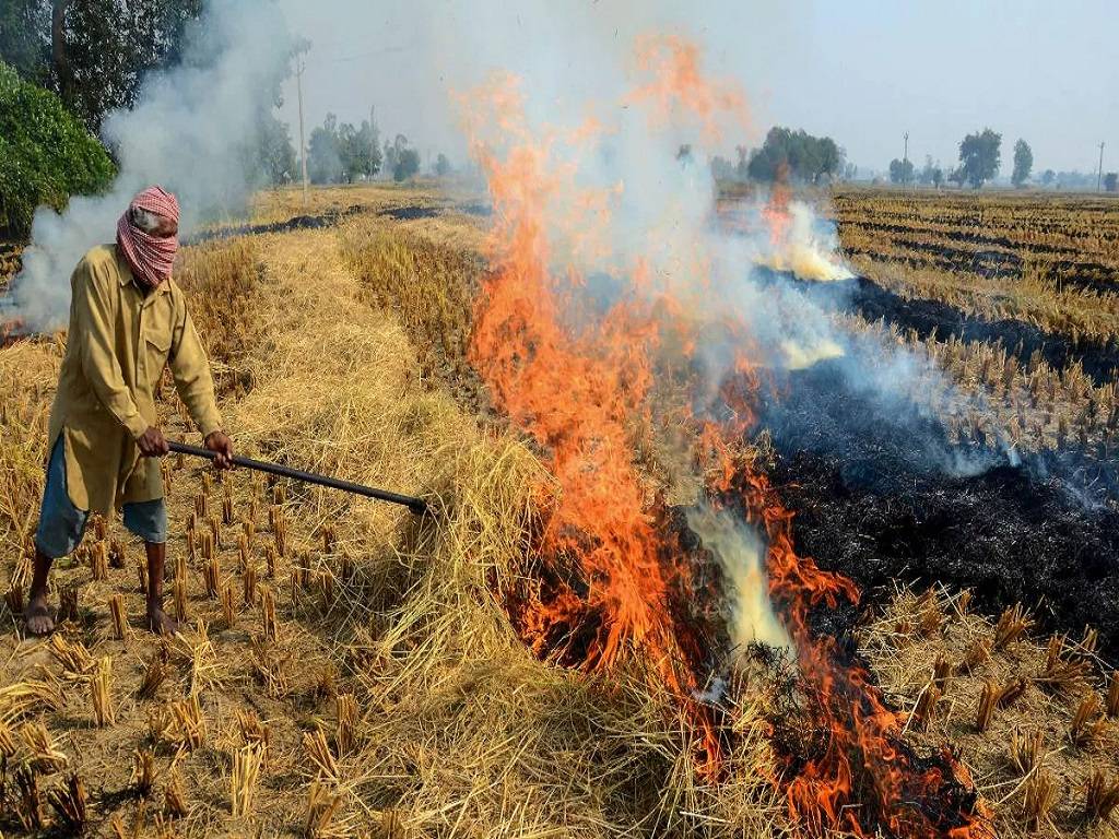 The Punjab, Haryana, Uttar Pradesh, and NCT of Delhi governments have already received instructions from the Union government.