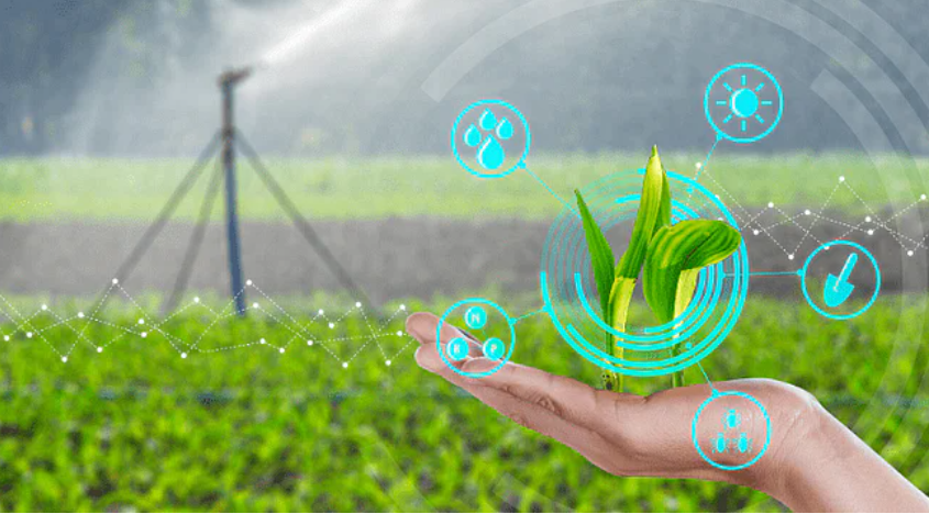 According to a 2019 NASSCOM report, India is home to more than 450 agritech startups, growing at a rate of 25% year-on-year.