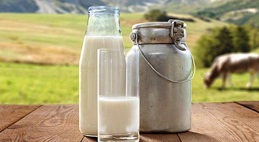 Cost of milk production has skyrocketed due to an increase in cattle feed prices