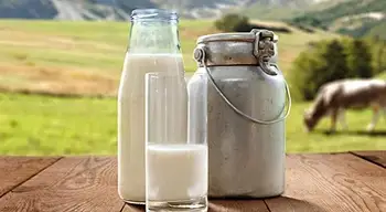 Udupi Dairy Farmers to Launch Postcard Campaign on October 27 Seeking Hike in Milk Procurement Price