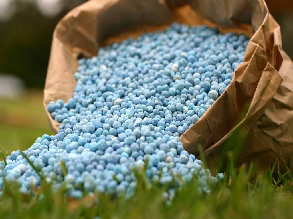 Fertilizer subsidy bill to increase by 40,000 crore
