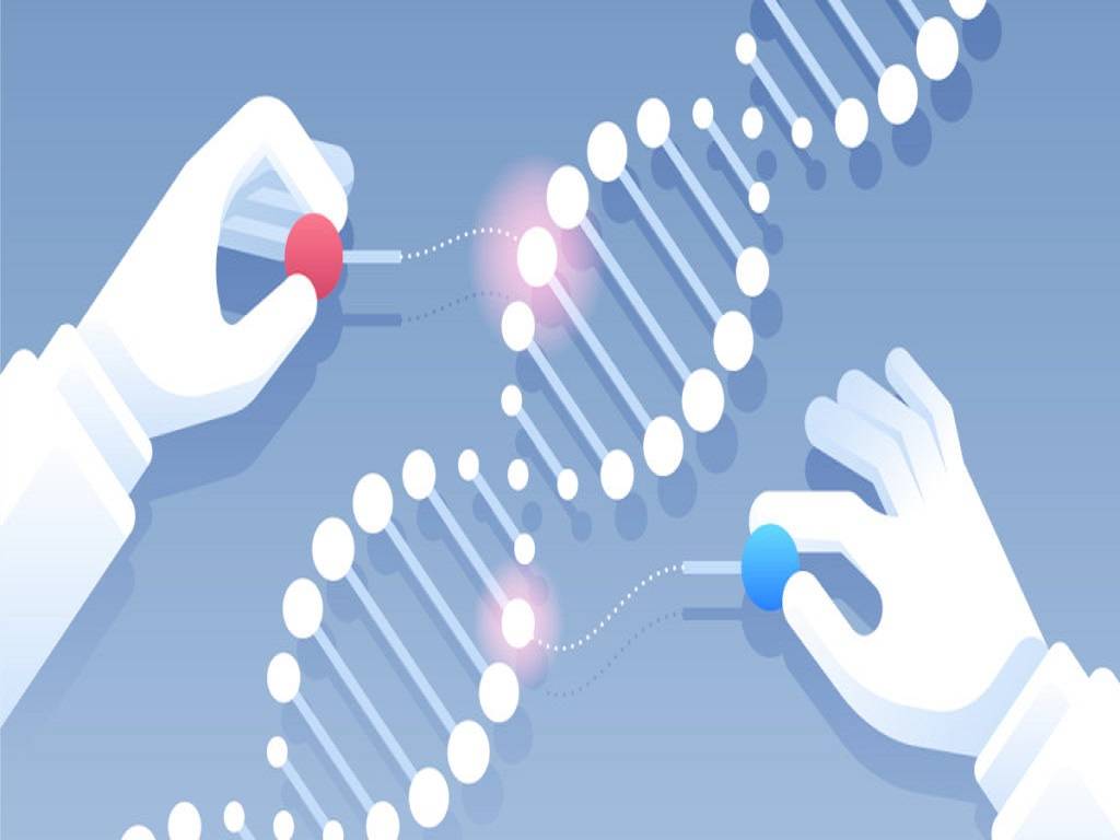 CRISPR gene-editing technology has reached a new level. For the first time, Indian researchers have shown that the accompanying Cas9 enzyme.