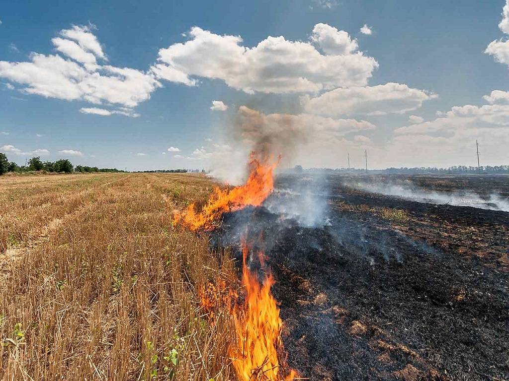 Punjab Pollution Control Board (PPCB) has levied a fine of more than Rs. 7.12 lakh on the farmers for burning crop residues.