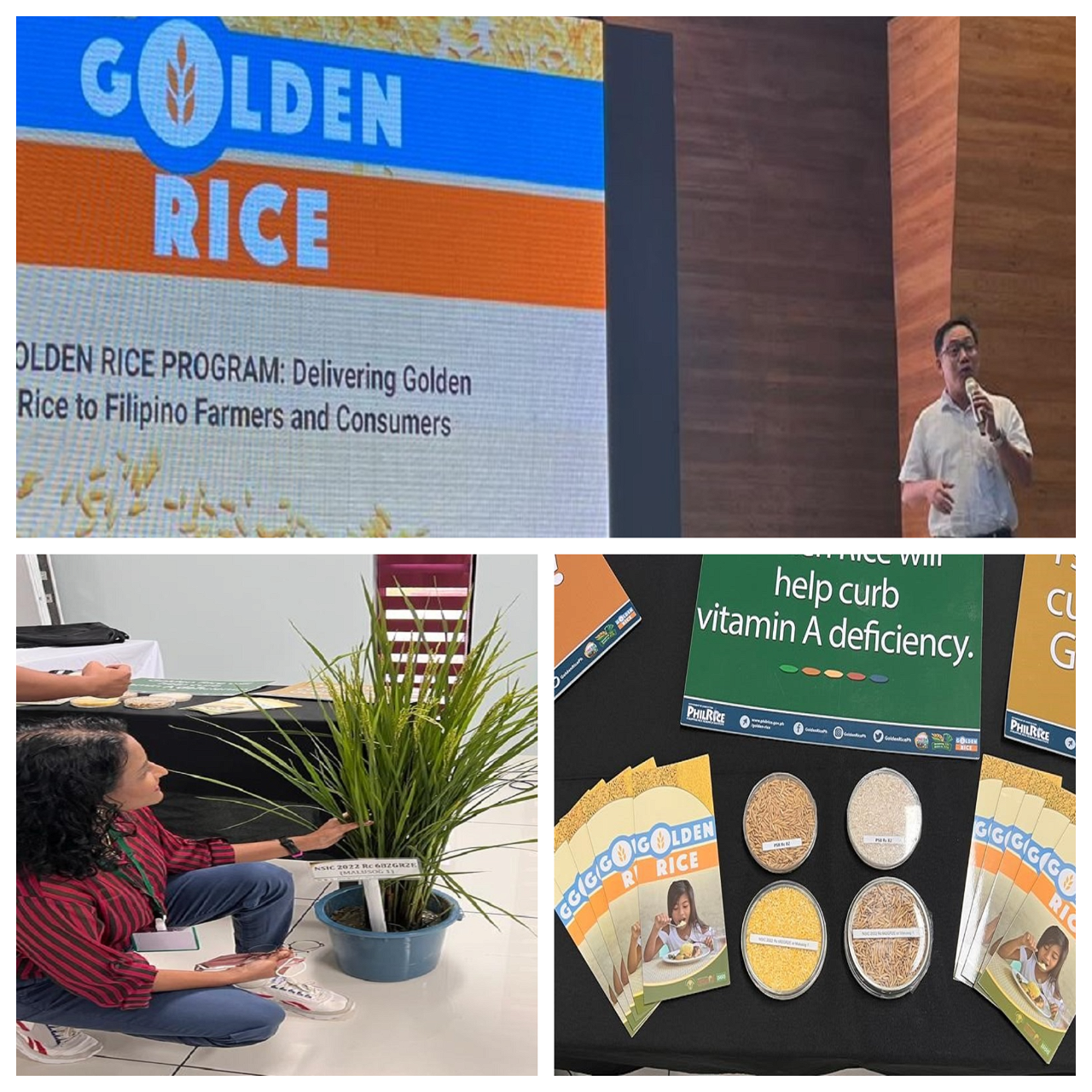 Briefing about golden rice, Dr. Ronan Zagado, Lead, Golden Rice Program at the 16th Pan-Asia Farmers' Exchange Program