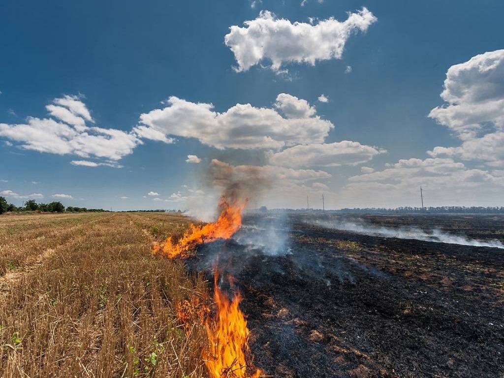 The stubble burning issue has become a hot topic of discussion these days