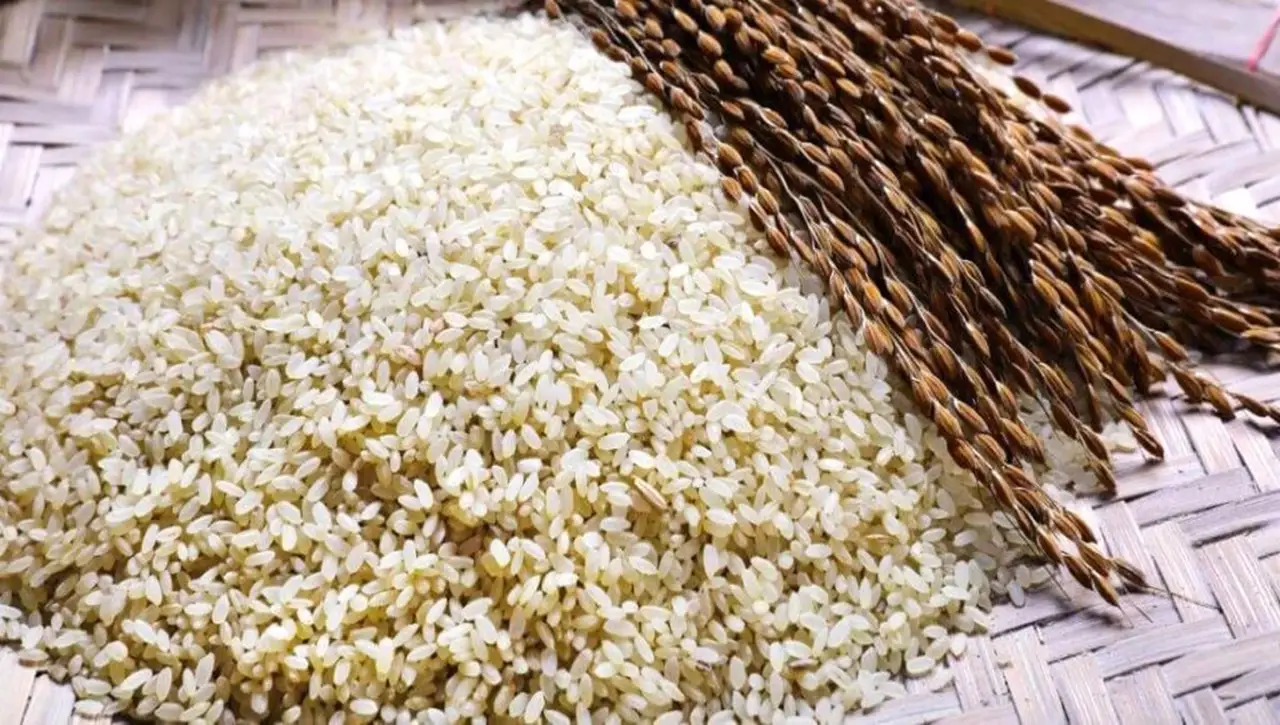 Price of West Bengal's premium aromatic rice variety has decreased by almost 11%