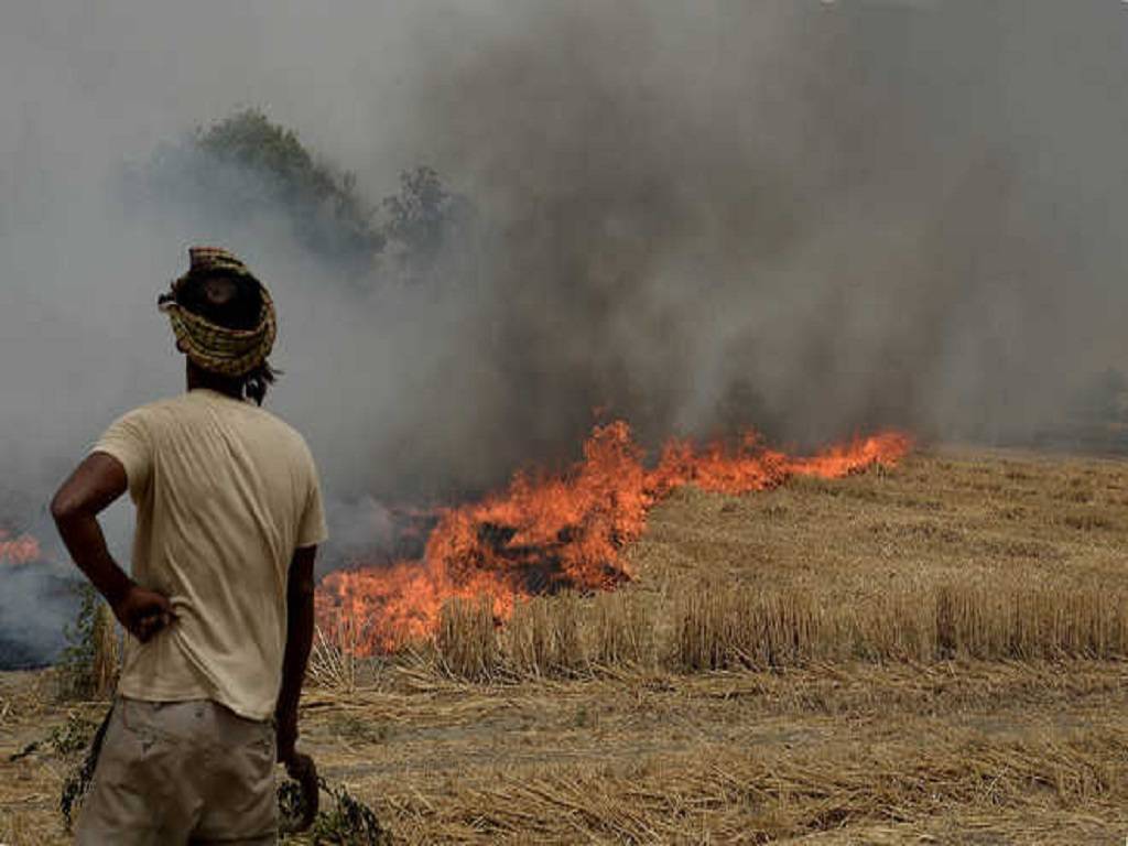 Uttar Pradesh government fines an amount of Rs 2,500 as punishment to farmers for burning their farm residue.