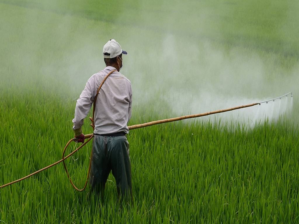 Indian government has publicly announced the usage of glyphosate, a commonly used weedicide, posing health hazards to humans and animals.