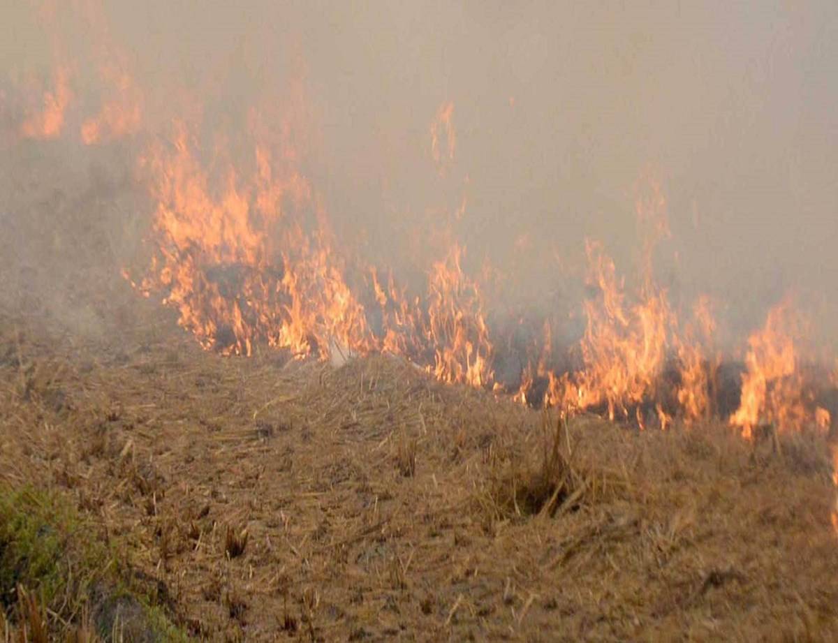 The frequent incidents of stubble burning across Punjab have left the air quality of the state in 'moderate' categories in some places, and 'poor' in others.