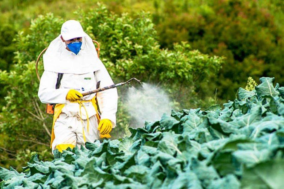 Mexico at the forefront of a global movement to limit the use of dangerous pesticides.