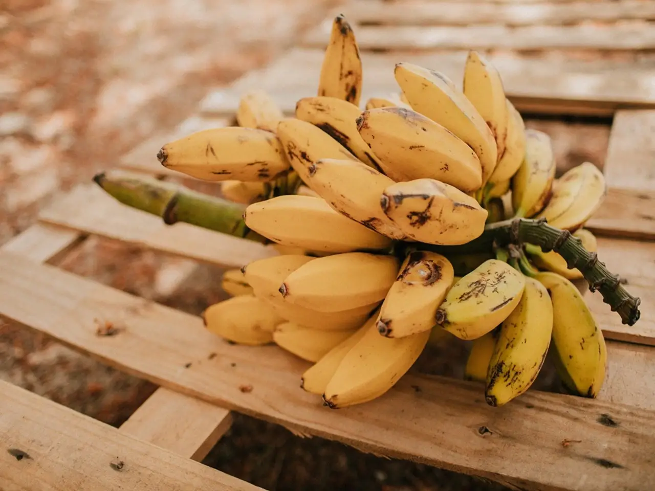 One banana contains around 112 calories and contains almost every essential mineral and vitamin needed by our body.