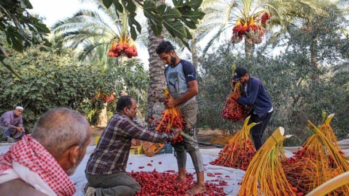 Temperatures in the East Mediterranean and Middle East to rise nearly twice as fast as the global average