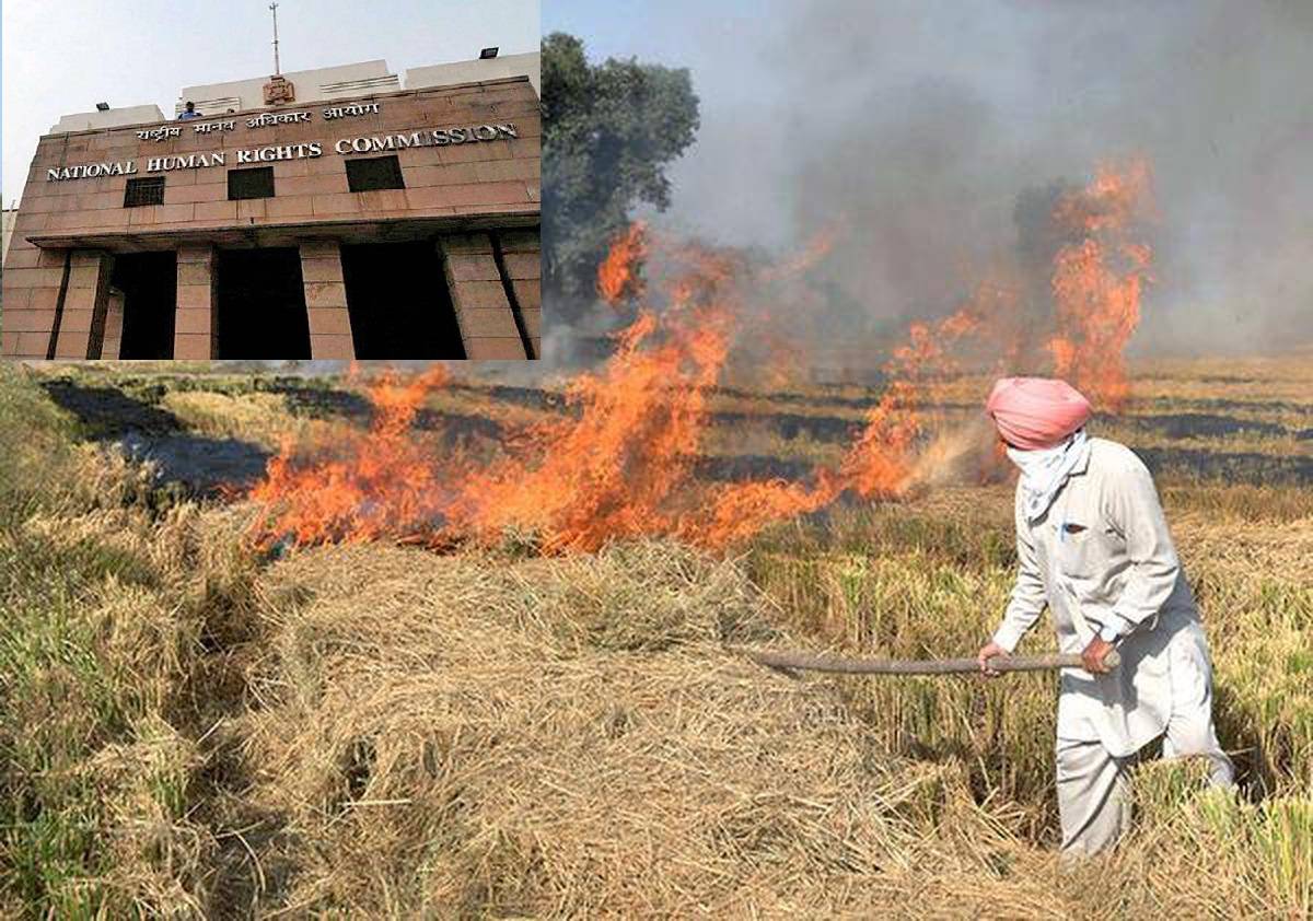 As air quality deteriorated to "severe" levels in many cities, the National Human Rights Commission (NHRC) has expressed grave concern regarding cases of stubble burning in North India.