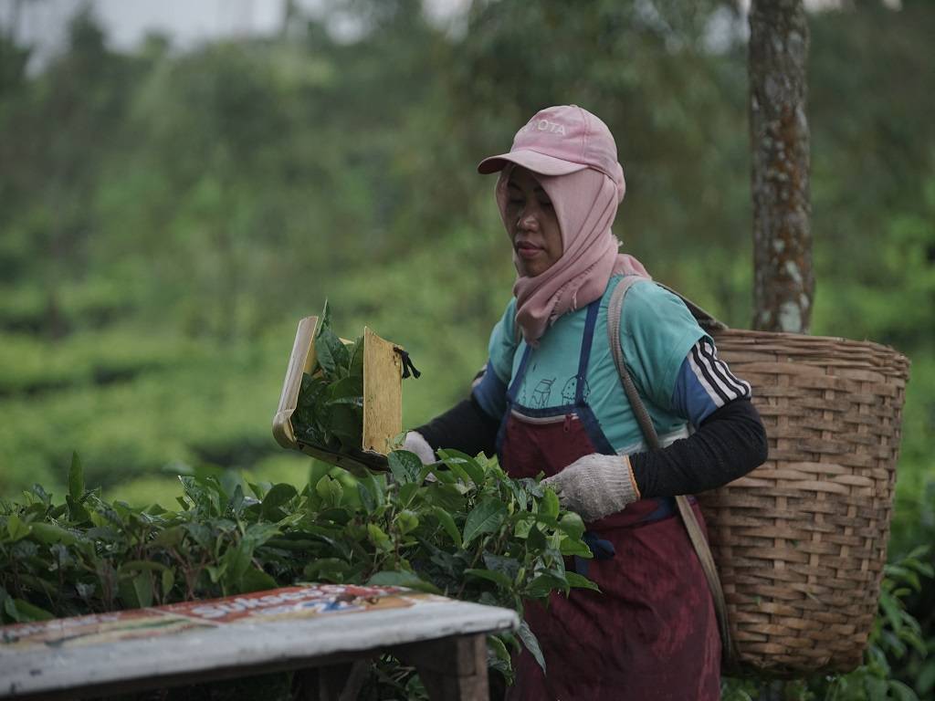 The purpose of the AGM was to bring together the tea planters of the nation for the development of the tea industry