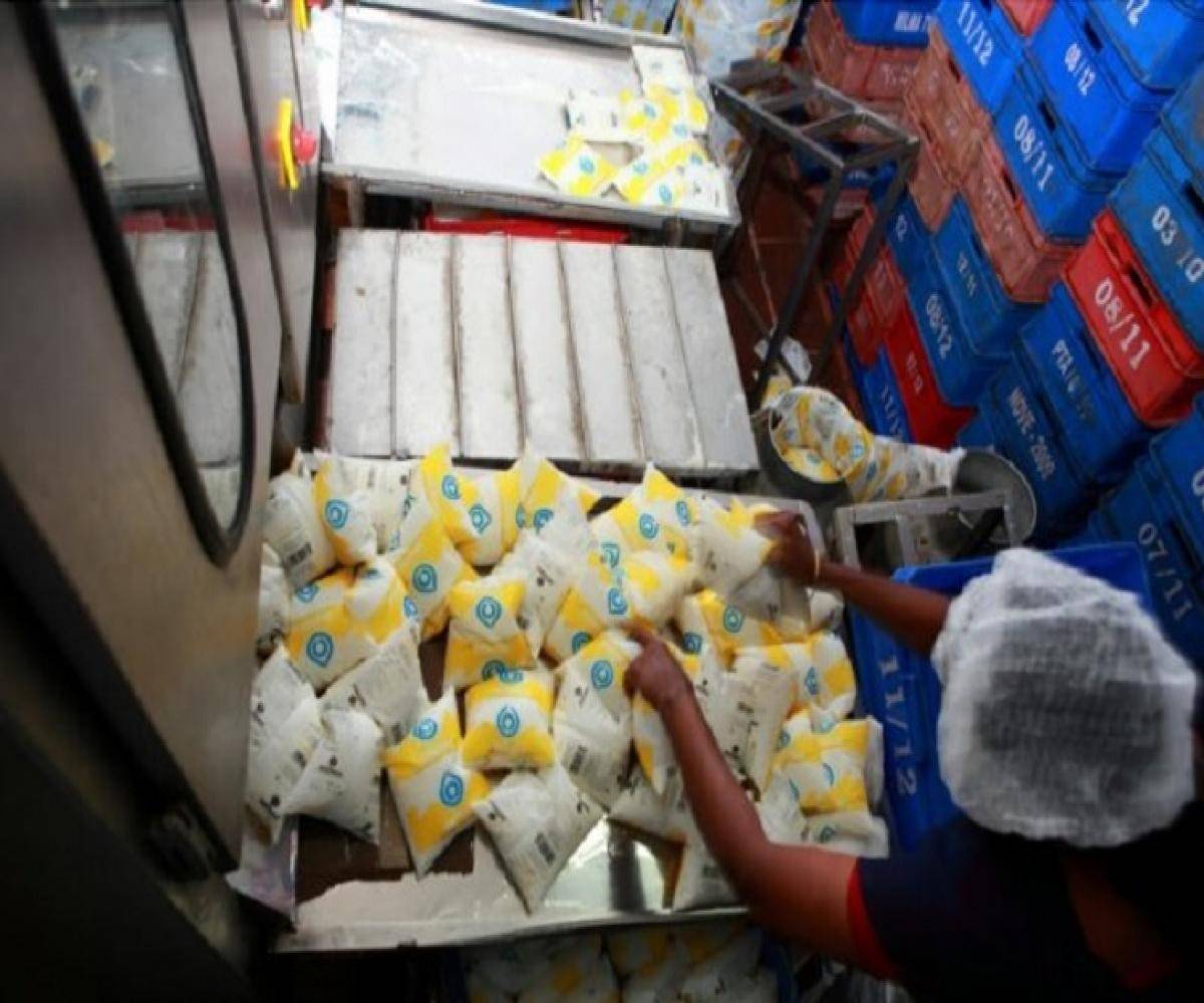 Milma Milk Production Unit in Kerala