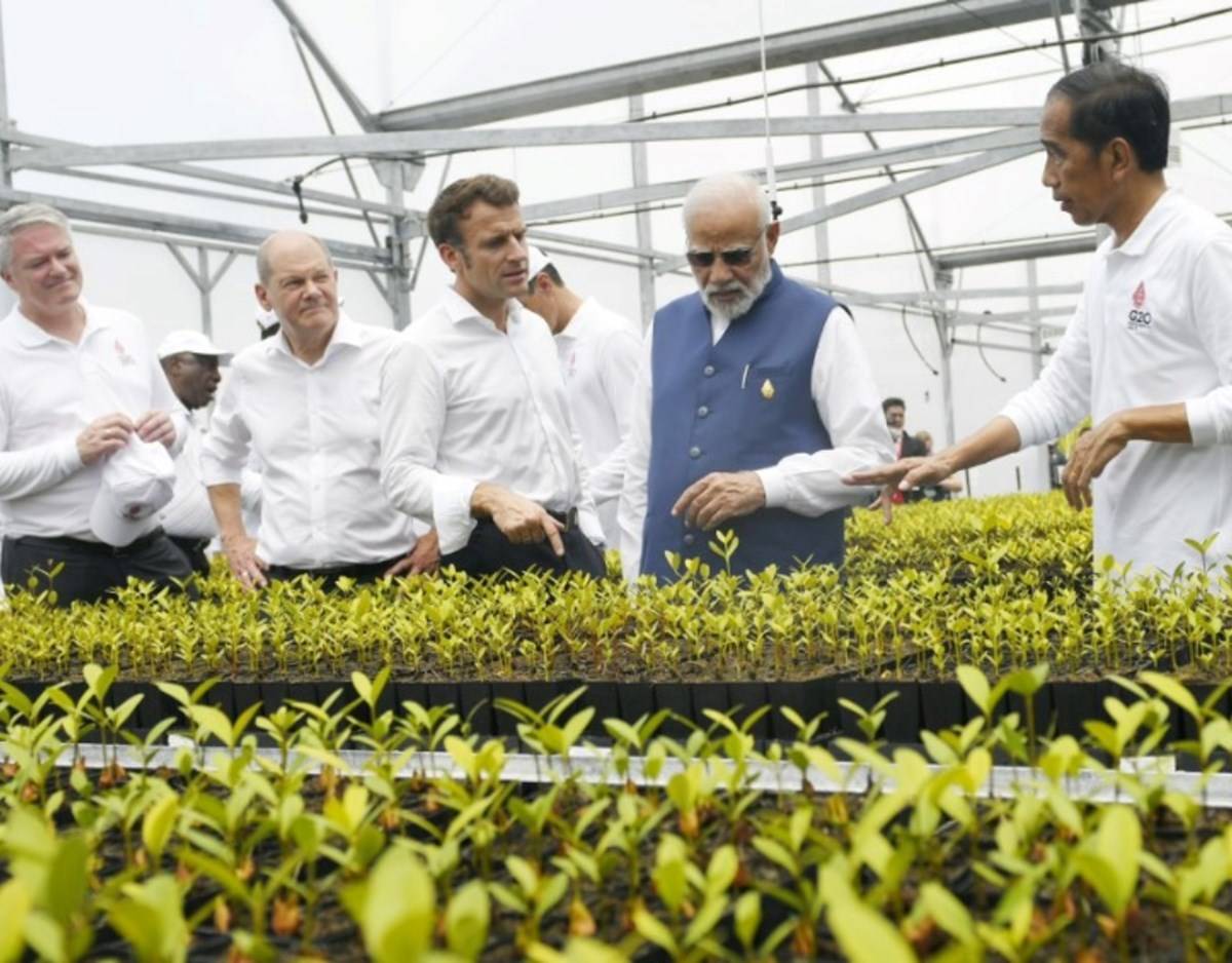 PM Modi during his visit at Mangrove Forest in Bali, Indonesia