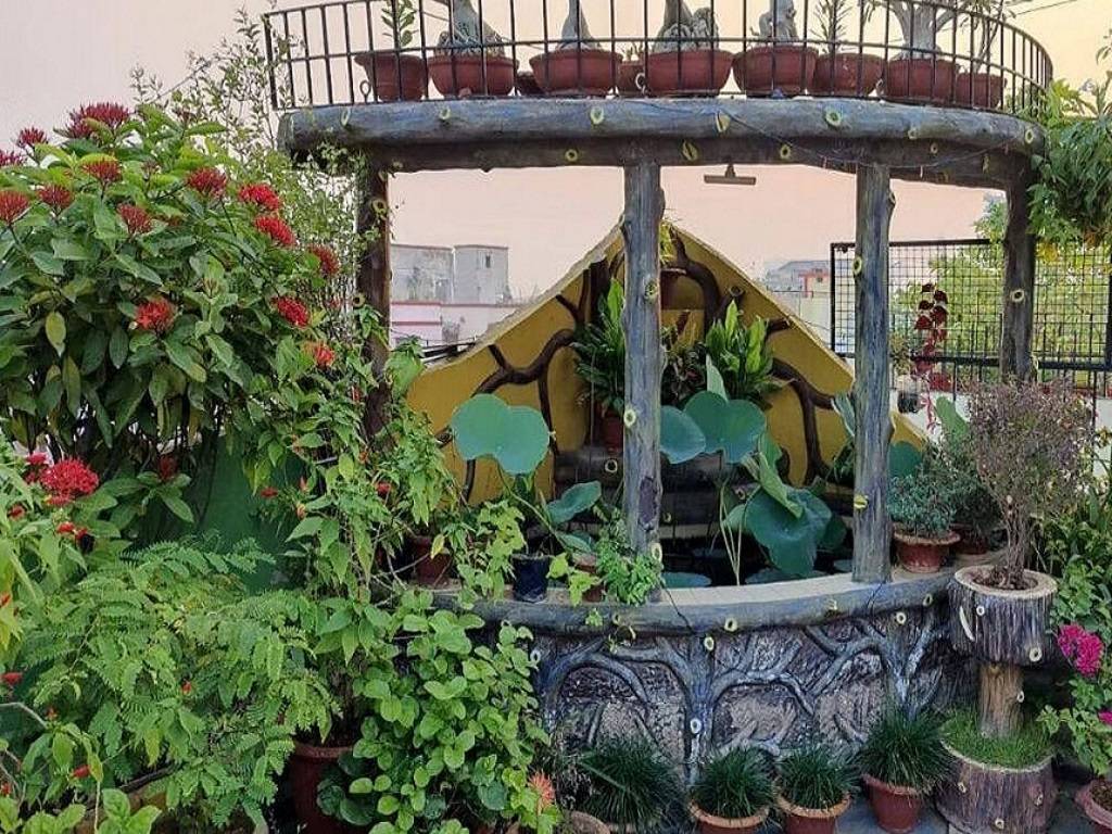 The couple has also set up a small pond inside the garden