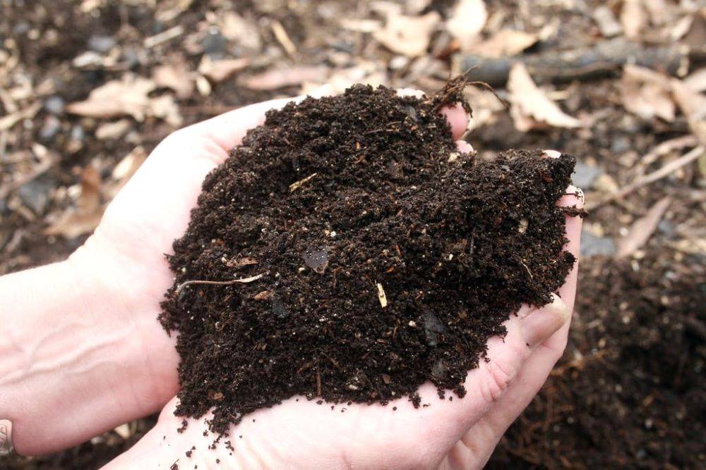 Soil is the Best Decomposer