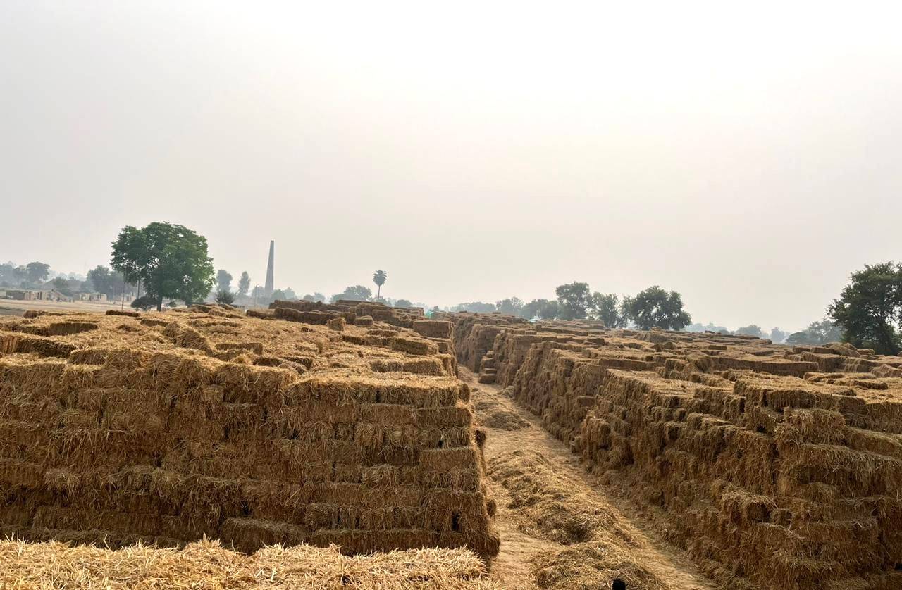 Using non-basmati paddy straw as a source for biofuel will reduce the stubble burning