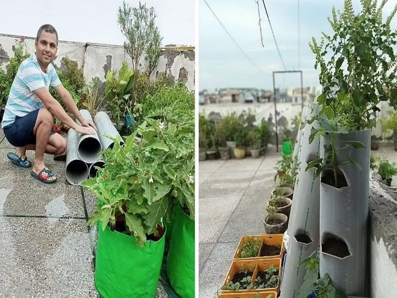 Uttar Pradesh born Mithilesh Kumar Singh has created an urban vertical garden using PVC pipes to save on cost and space, and also runs Veg Roof, a farming startup that shares gardening tips.