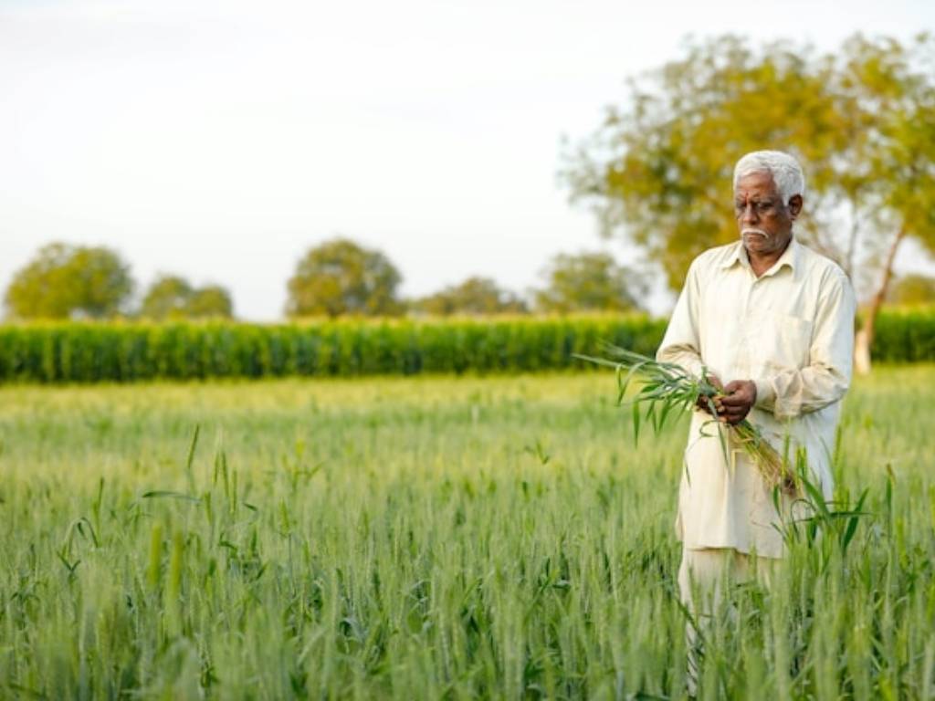 PM Kisan Yojana (File Image)