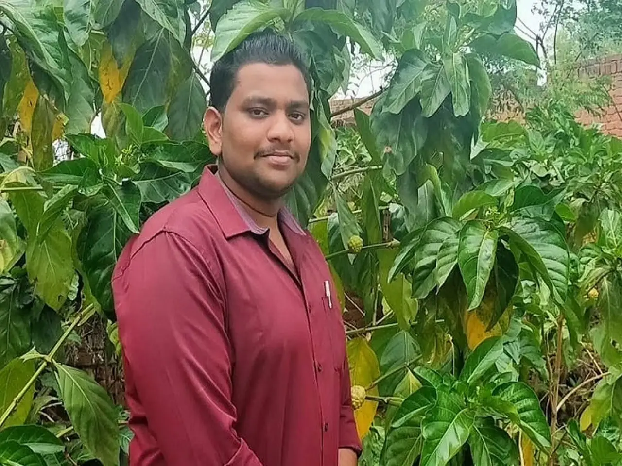 In Bokaro, Jharkhand, 24-year-old Prasenjeet Kumar has demonstrated how indigenous superfruits may change livelihoods by growing 16 noni trees there.