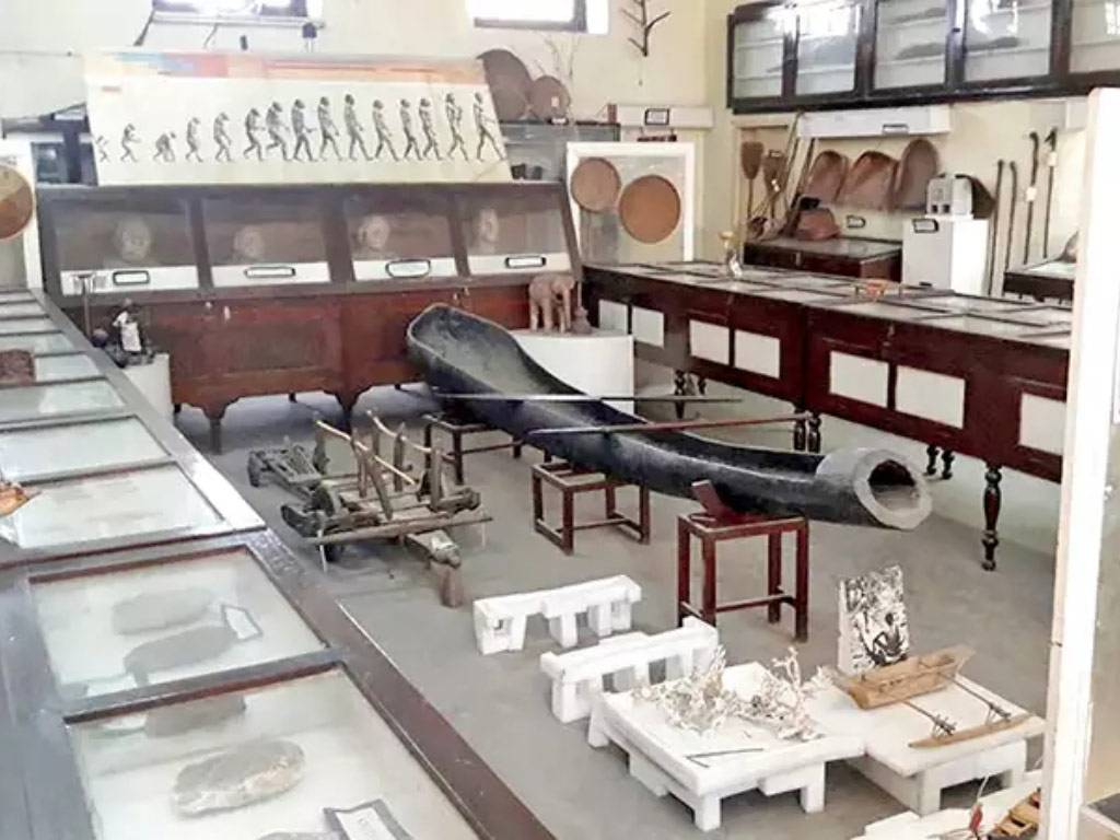 Lucknow Tribal Museum