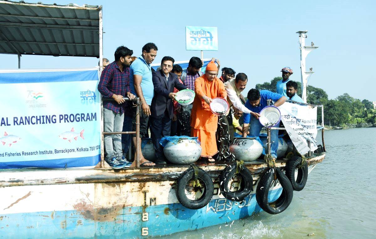 Fingerlings were released very auspiciously to river Hooghly by Swamiji, Prof Panigrahi & Dr Das besides all the SMSF participated in the ranching program.