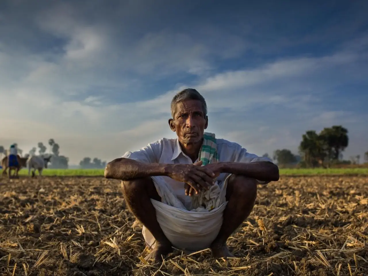 Farmer in an open field in rural India (File Image)