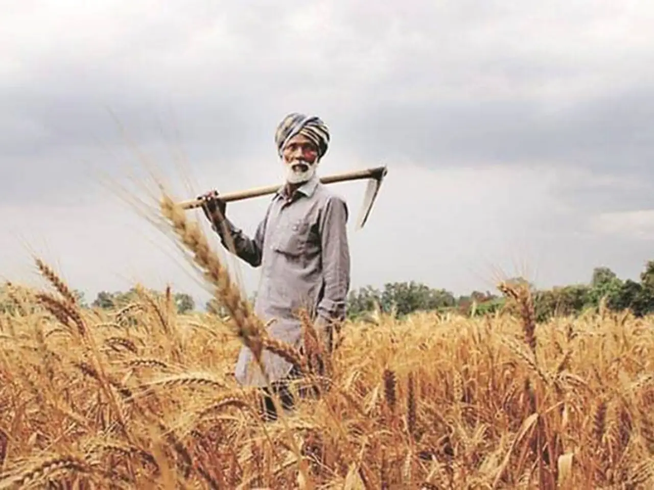Farmer working in his field (File Image)