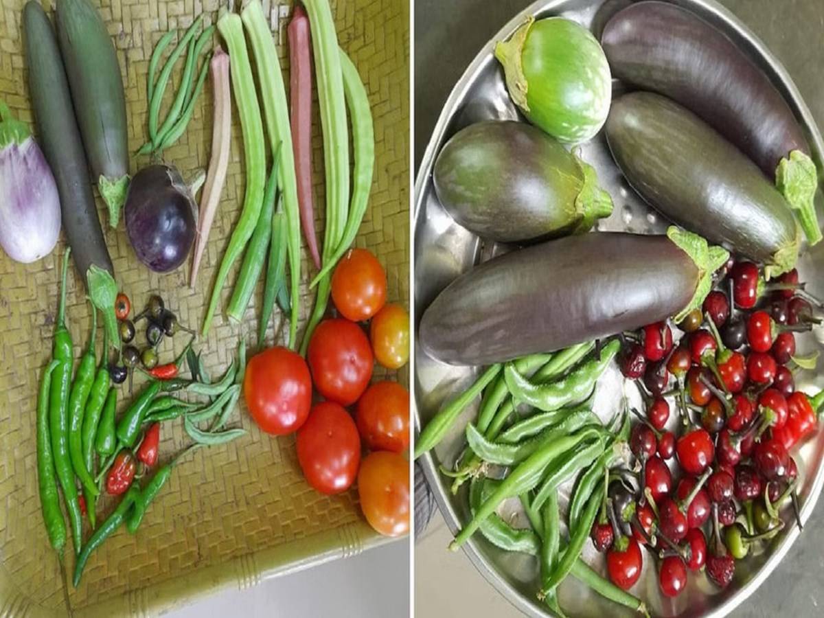 Vegetables harvested from Mini’s home garden
