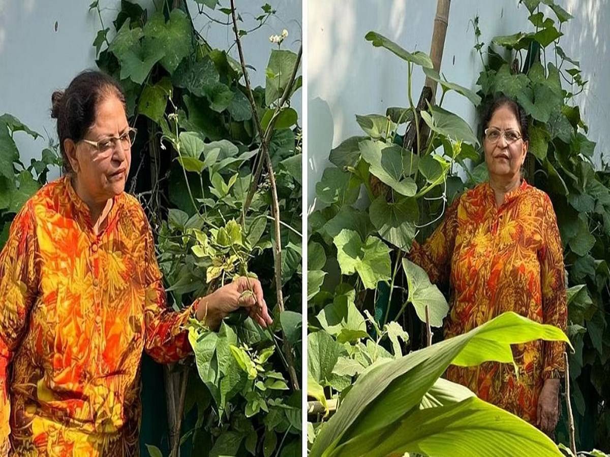 Shashi harvested the organic veggies she cultivated on her terrace