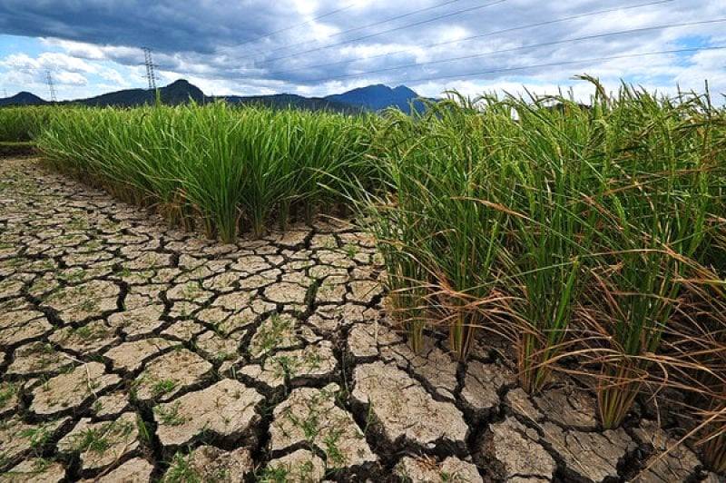 Jharkhand 's overall rainfall deficit was 49 percent in the first two months of the monsoon season