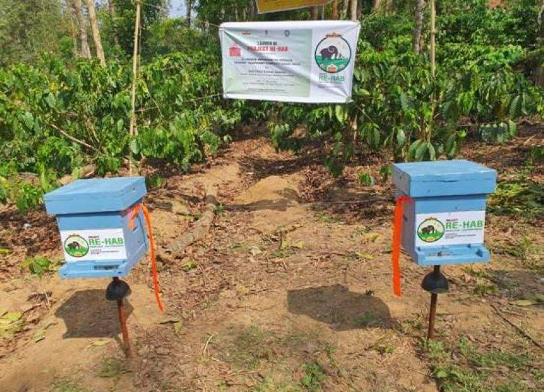 Bee-box fencing along elephant migration routes obstructs wild elephant movement.