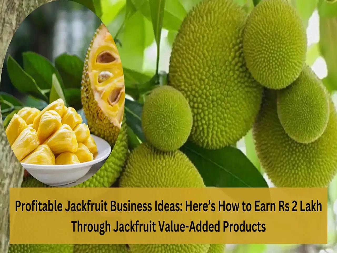 Here’s How to Earn Rs 2 Lakh Through Jackfruit Value-Added Products