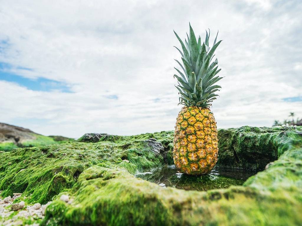 Hawaii used to be the world's top pineapple producer and a major supplier of pineapples to the United States.